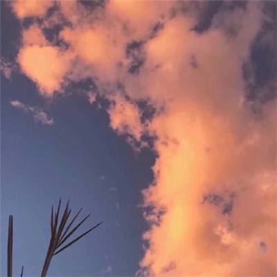 水果撸啊撸手机版下载
